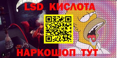 тгк Камышлов