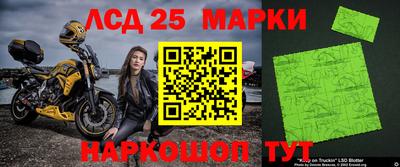 Альфа ПВП Кандалакша