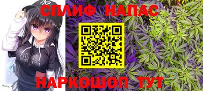 Альфа ПВП Кандалакша