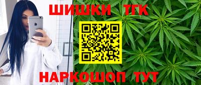 тгк Камышлов