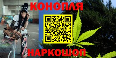 Альфа ПВП Кандалакша