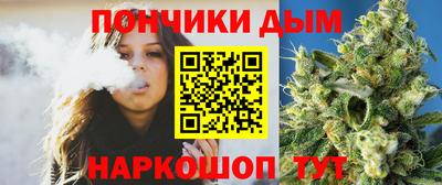 Альфа ПВП Кандалакша