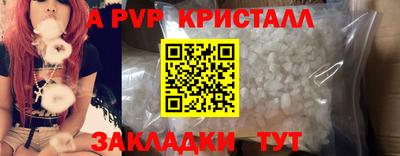 тгк Камышлов