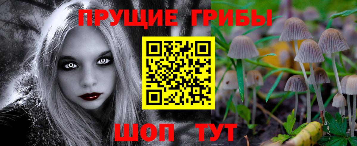 Псилоцибиновые грибы Cubensis Краснокамск
